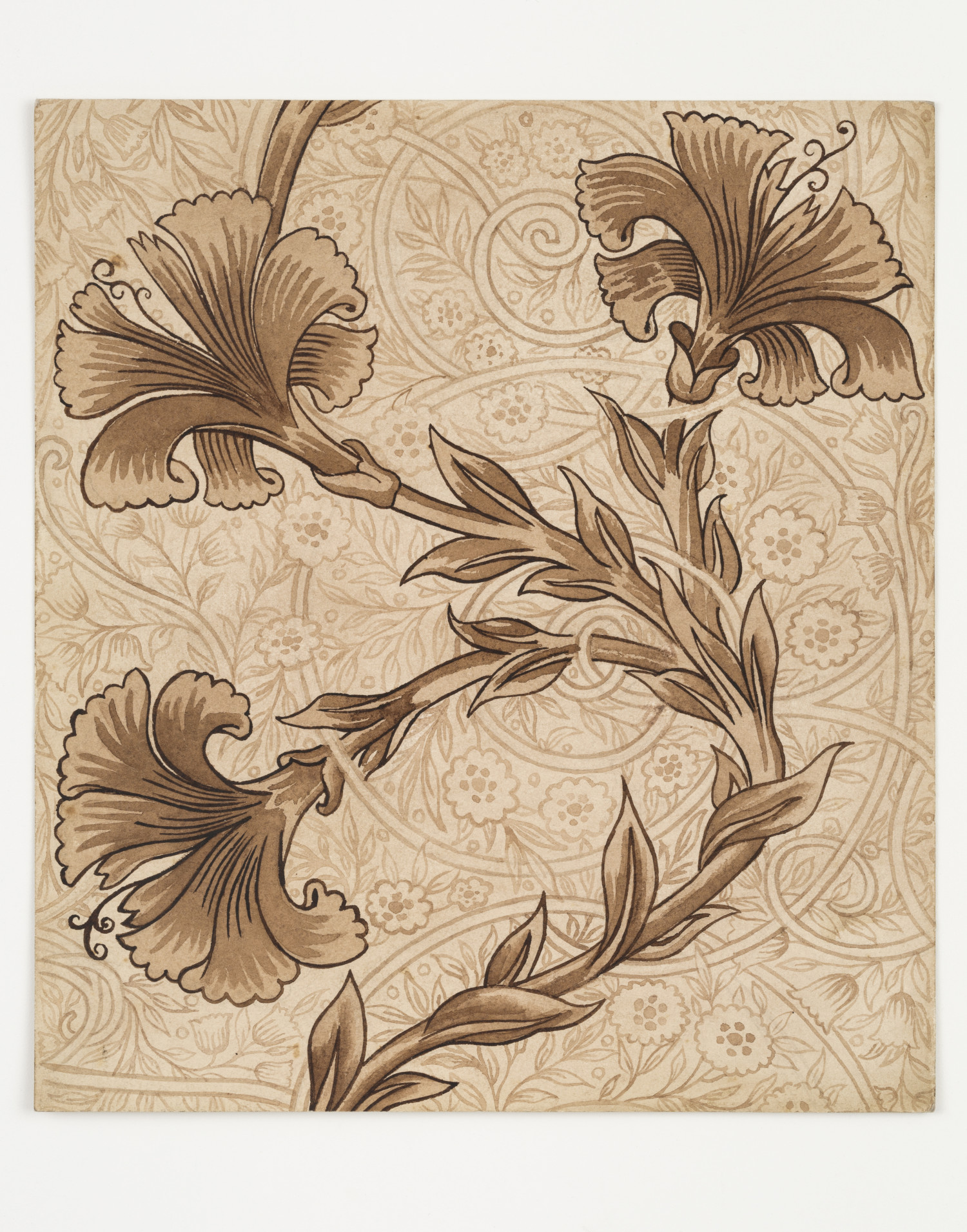 Design for Carnation - William Morris Gallery