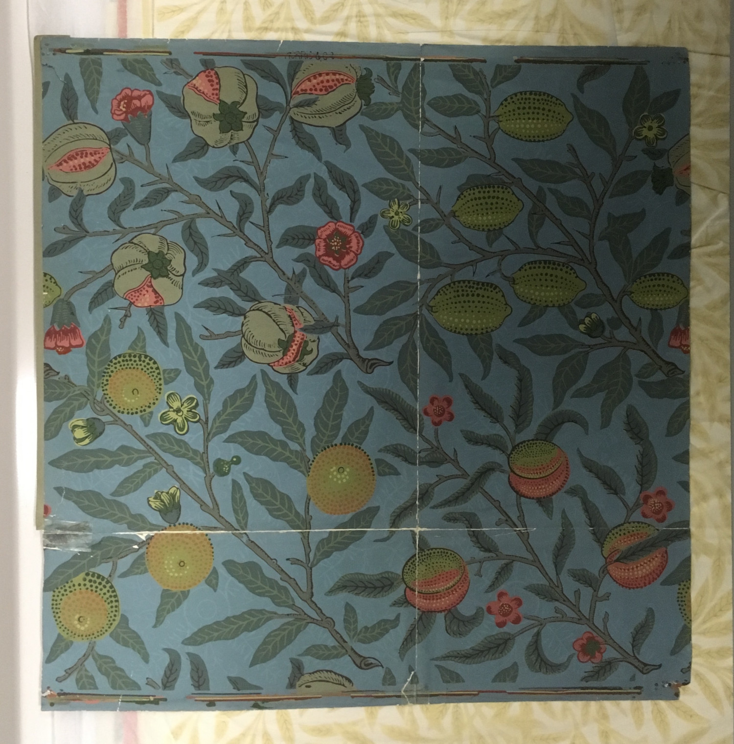 NaNaです。MORRIS Gallery Sanderson Objects Archive - William Morris Gallery